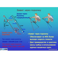 Семинар по биомеханике академической гребли