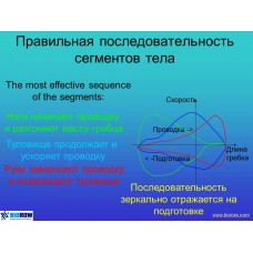 Семинар по биомеханике академической гребли