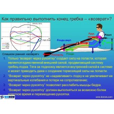 Семинар по биомеханике академической гребли